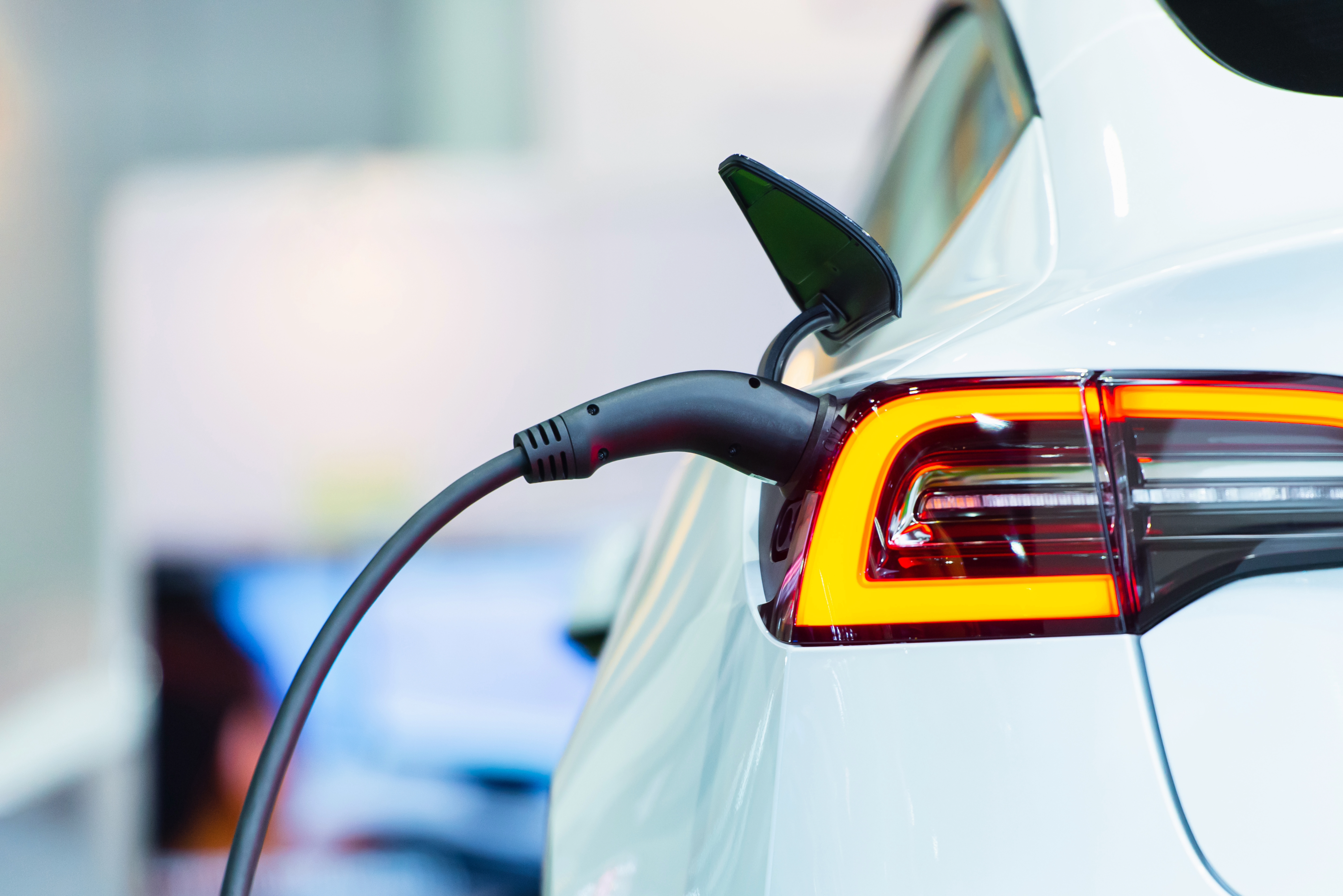 The Tesla Model Y Digital Twins