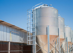 Grain and Livestock