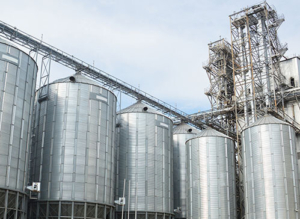 Grain and Livestock