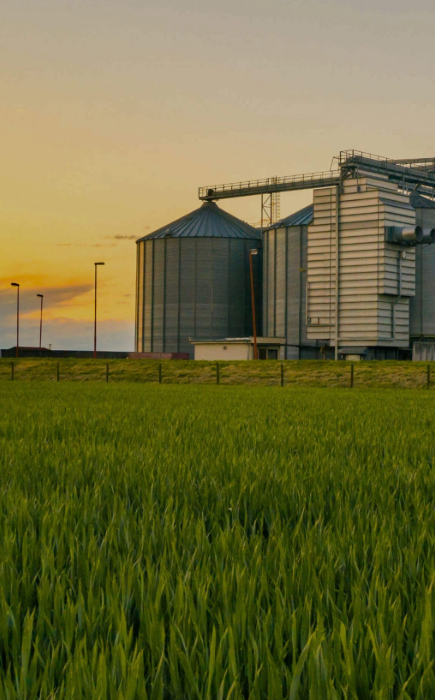 grain and livestock