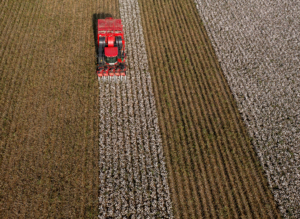 Off-highway cotton pickers